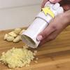 Mini Garlic Press Grater Kitchen Gadgets Garlic Peeler Garlic Pounder Vegetable Cutter