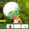 Dried Flower Fan DIY Kit for International Women's Day - Team Building & Handmade Gift