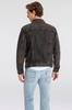 Демисезонная куртка Levi's Herren The Trucker Jacket Man blow away