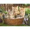 5D Diamond Painting Cat In Flower Basket Diamond Embroidery Cross Stitch