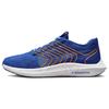 Кроссовки Pegasus Turbo Next Nature 'Game Royal Bright Orange' FD0717-400