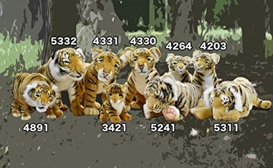 BH5332 HANSA Тигр 70