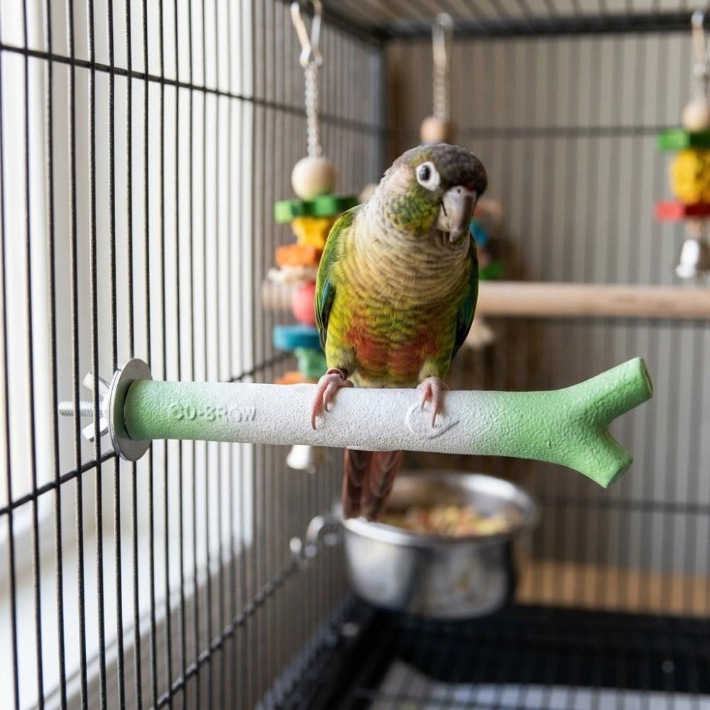 Branch-Shaped Bird Standing Perches Screw Fixation Claw Grinding Rod Cage Perch