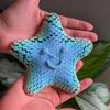 Sensory Fidget Star 3D Printed Articulated Toy Stress Relief Fidget Focus Smoothly Moving Segments No Assembly Needed Hand Therapy Toy