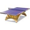 Red Double Happiness Golden Rainbow Indoor Table Tennis Table