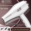 High-Power Cross-Border Hair Dryer with Blue Light, Quick-Dry Features & EU/US Plug, for Salon & Home Use