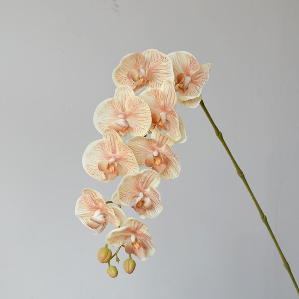 Single Branch Simulation Butterfly Orchid Moth Orchid Plastic Flower Bouquet  Home Decor