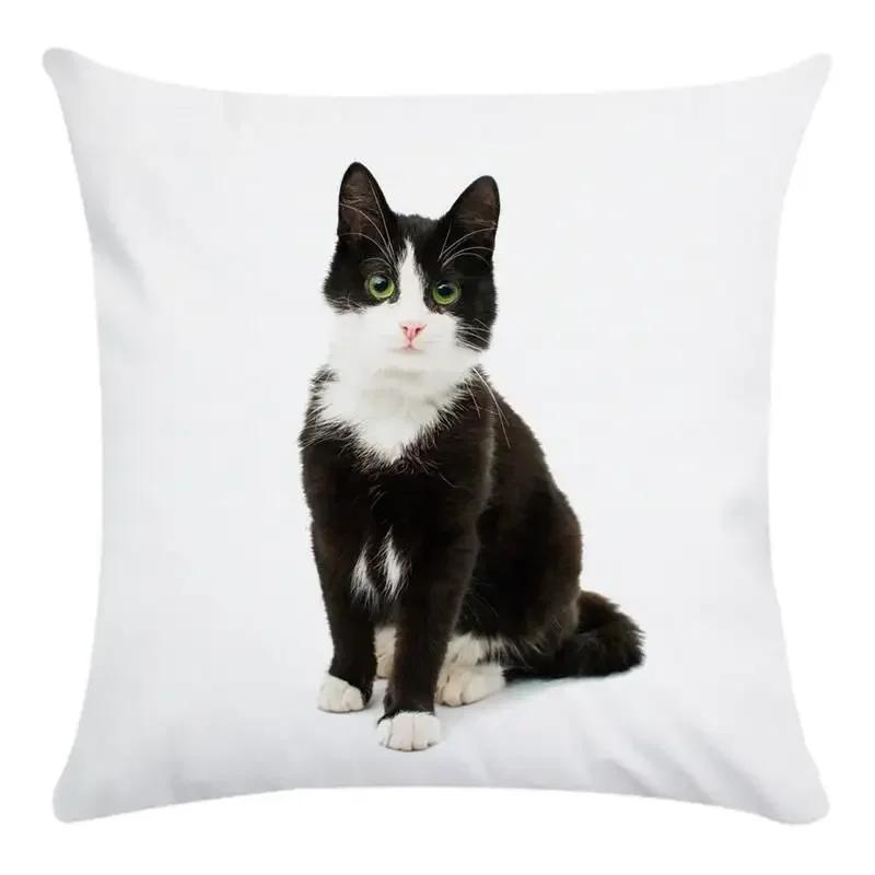 Cute Cat Pattern Of Animals Double-Sided Printed Pillow Cover Short Plush Suitable Living Rooms Bedrooms Throw Cushion Cover