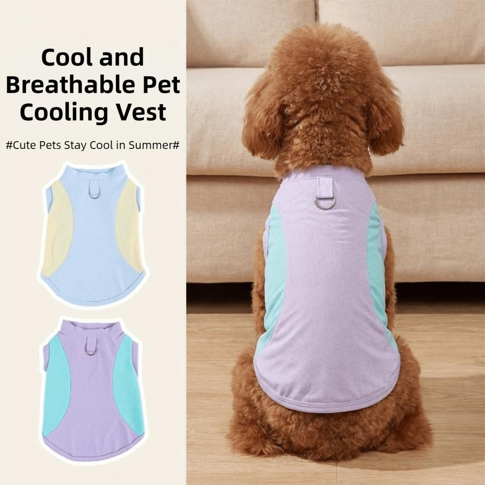 Breathable Mesh Dog Cooling Vest Comfortable Pet Summer Clothes Outdoor Walking
