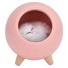 LED Night Light Pet House Shape Table Lamp USB Rechargeable Light Bedside Nightlight for Birthday