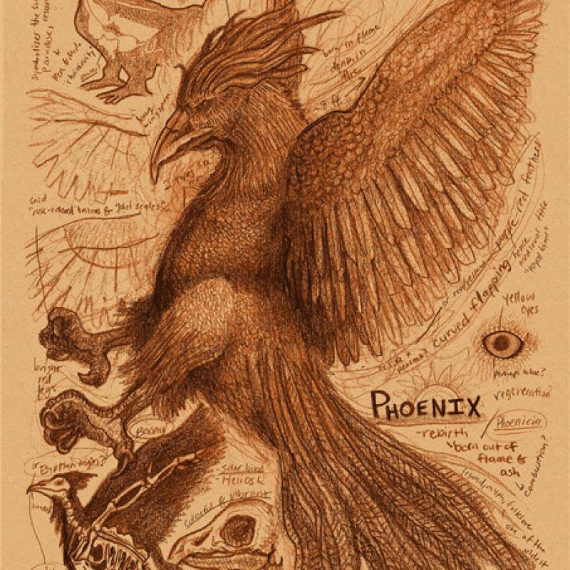 Плакат с принтом кита, винтажный домашний декор для спальни, фреска