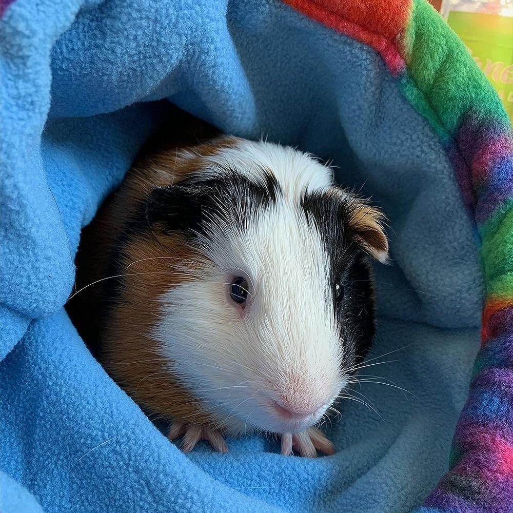 Soft Hamster Cotton Nest Interactive Hamster Hideout Cozy Tree Hole Nest Hedgehog