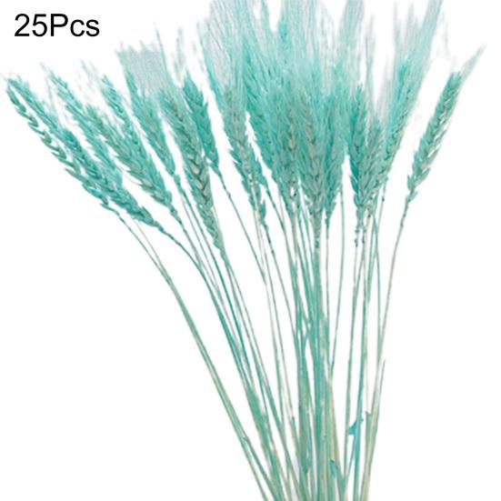 Практичная сушеная овсяная трава, яркая, не требует воды, деревенский стиль