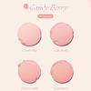 DASIQUE Румяна Blending Mood #Коллекция Мороженое 16,8 г
