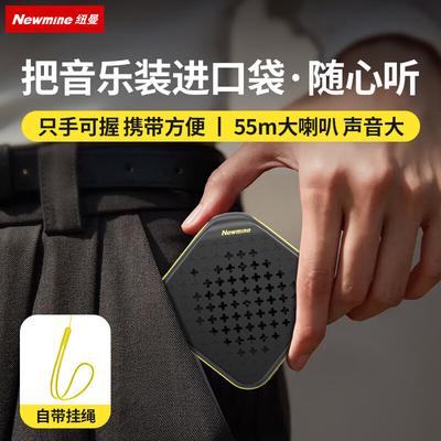 Портативная Bluetooth-колонка Newman PBS001-TWS с голосовым оповещением, штекер CN (адаптер в комплекте)