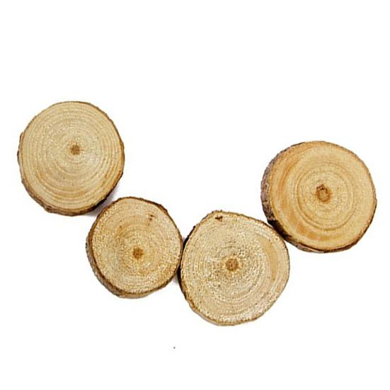 100 Pcs Wood Log Slices Mini Wooden Discs for DIY Crafts Room Wedding Decor
