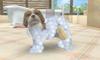 Счастливый Выбор Цены Nintendogs Кошки Французский Бульдог Новые Друзья + &