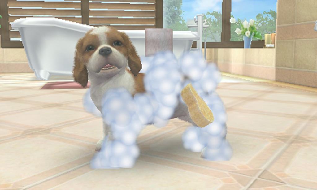 Счастливый Выбор Цены Nintendogs Кошки Французский Бульдог Новые Друзья + &