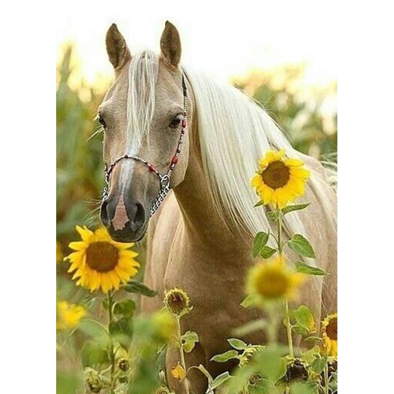 DIY Лошадь 5D алмазная живопись полный круглый дрель набор для вышивки крестом животное вышивка мозаика стены книги по искусству стразы подарок домашний декор