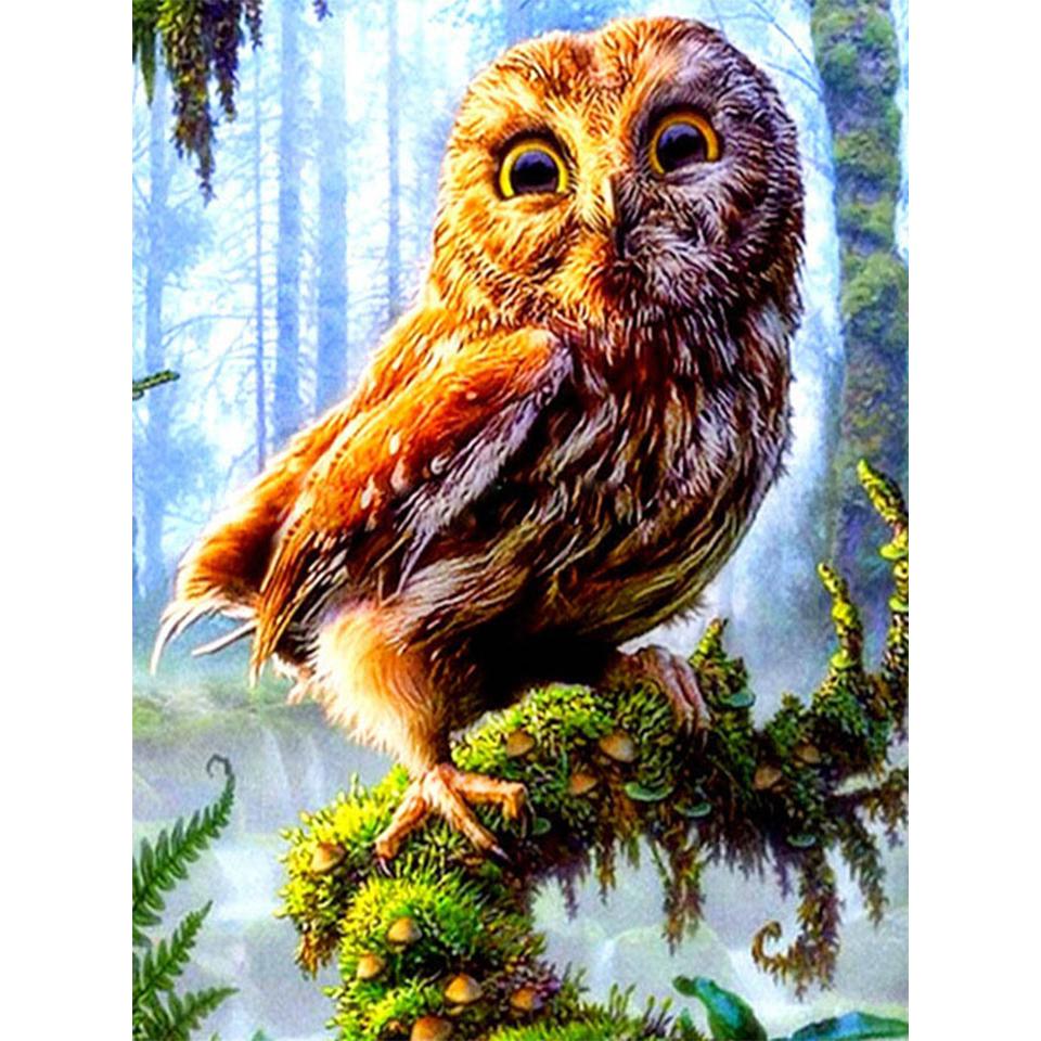 5D DIY алмазная живопись животное Сова горный хрусталь картина полная алмазная вышивка мозаика ремесло вышивка крестиком подарок комплект для украшения дома