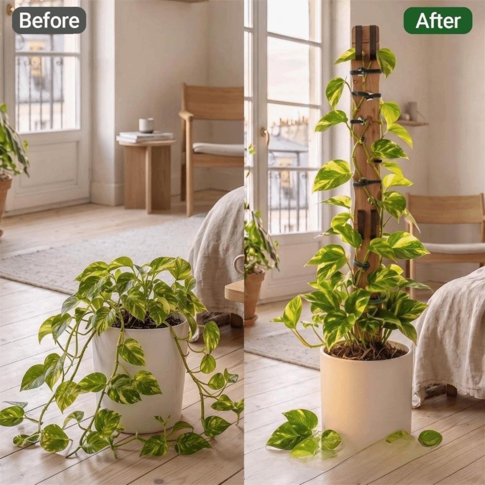 Hollow Out Plant Support Frame Wooden Plant Stand Garden Plant Trellis Plant Fixed Frame Indoor