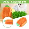 Carrot Catgrass Box Orange PP Material Seedling Tray Grass Hydroponic Nursery Seeds Cat Without Catnip Soilless J2L1