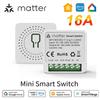 Matter WiFi Smart Switch 16A Smart Home Light Switch Relay Module Voice Control Work with Alexa Google Homekit Smartthings Tuya