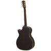 Электроакустическая гитара ARIA N Aria AF-105RWCE