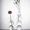 Romantic Glass Vase Simple Spherical Flower Vase Hydroponic Flower Pot  Living Room