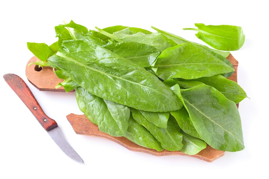 SAFLAX Garden in the Bag - Органический - Французский щавель - 400 семян - С субстратом в подходящем пакете - Rumex acetosa