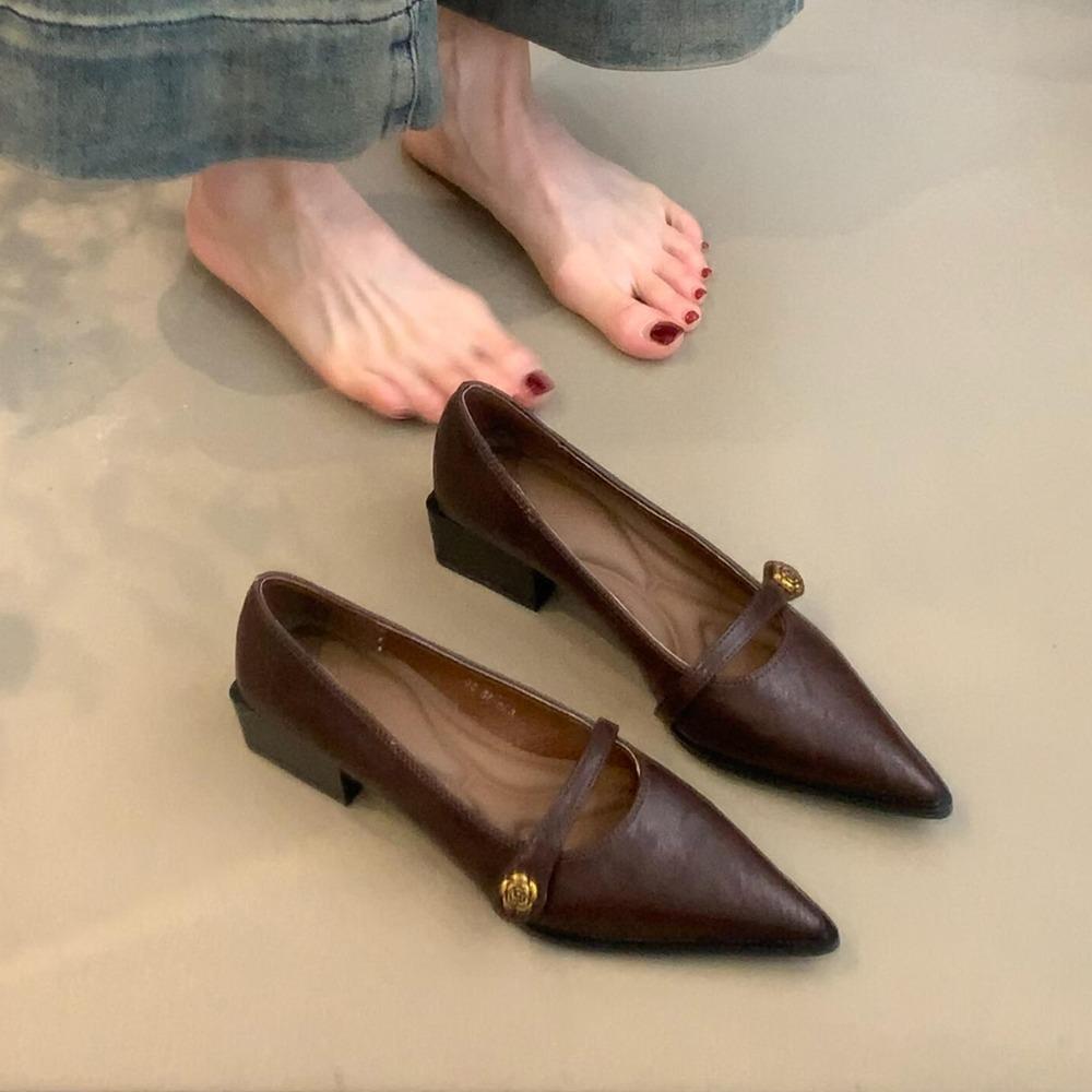 Fashion Retro Mary Jane Shoes Women's Spring Autumn Brown Light Mouth High Heels One Button Thick Heels Pointed Toe Temperament Pumps