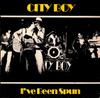 7inch Record CITY BOY - I've Been Spun / Goodbye Blue Monda 6059183 Vertigo 1977 UK Rock Used