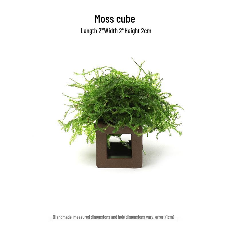Aquatic Plant Moss Hideaway: Real Plant Jar for Fish & Shrimp