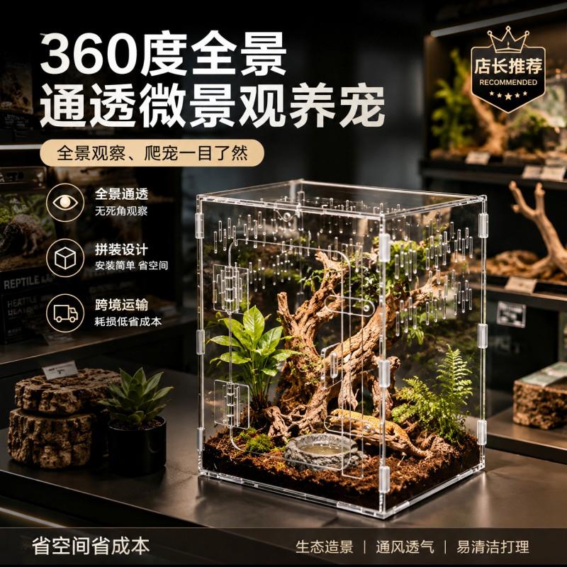 Acrylic Reptile Terrarium Geckos Lizards Spiders Horned Frogs Mantises Multi-Size Enclosure With Ventilation