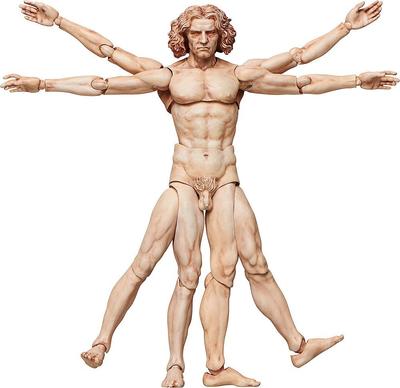 Figma Стол Музей Витрувианская человеческая фигура Раскрашенная подвижная фигура Немасштабная ABS&PVC