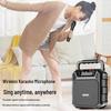 Портативная Bluetooth-караоке-колонка Newman K503, штекер CN (адаптер в комплекте) (Китайская версия)