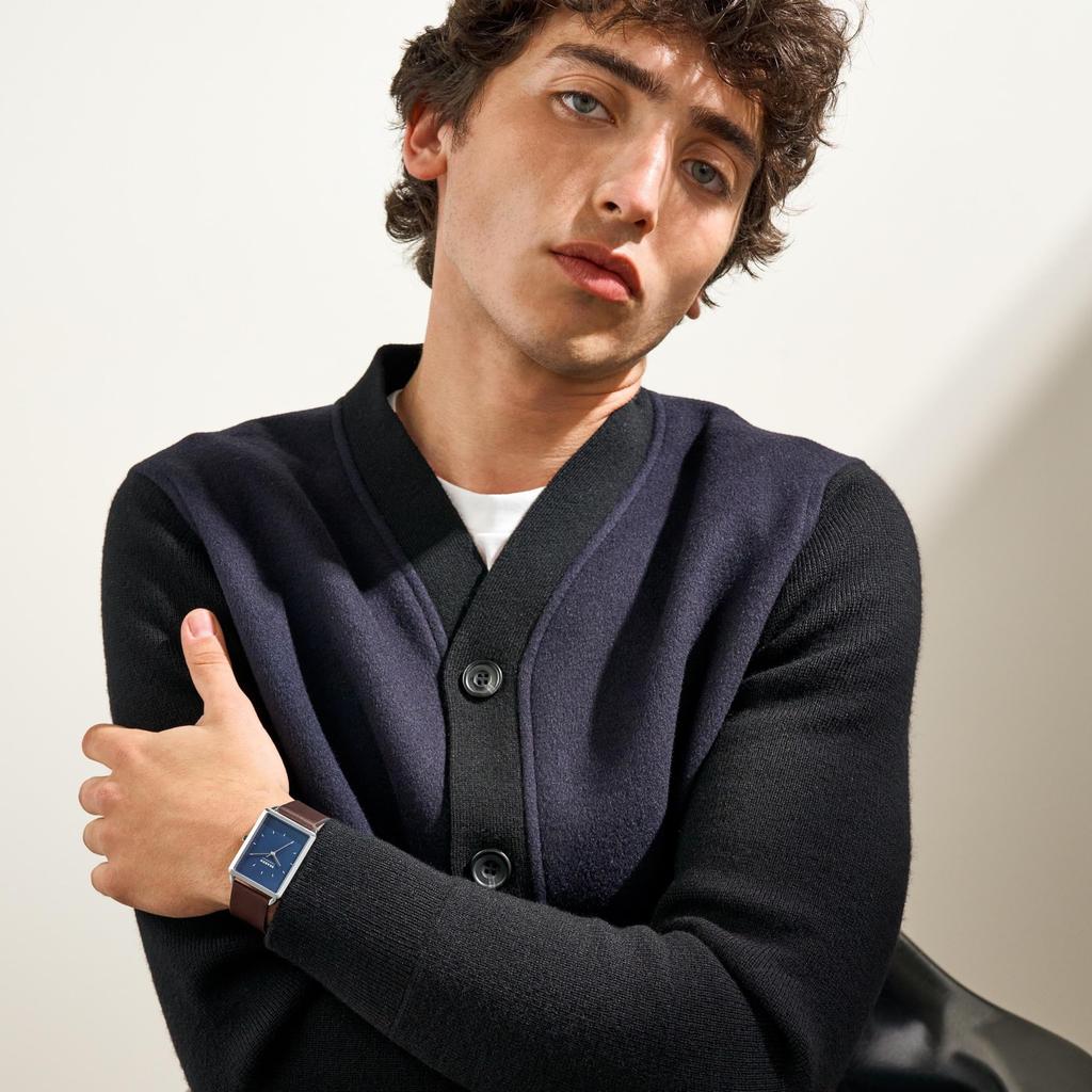 Часы HAGEN SKW6930 Коричневые [Skagen] Мужские