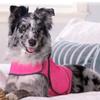 Breathable Dog Calming Shirt Reflective Pet Soothing Clothes Dog Coat Dog Anxiety Jacket  Thunder