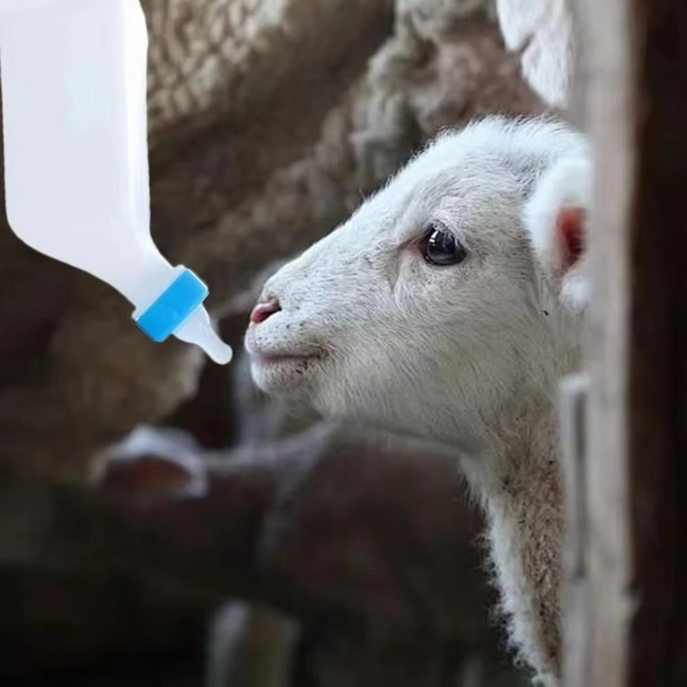 Soft Nipple Hanging Nursing Bottle Wall Hanging Pet Milk Feeder Animal Feeding Bottle Farm Animals