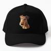 Аiredale Terrier Голова Искусство Бейсболка Кепка Шапка Snapback Черный Хип-Хоп Однотонный Czapka Солнце Женщины Спорт Мужчины Рыба Лето