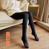 Women's Faux Sheer Fleece Lined Tights