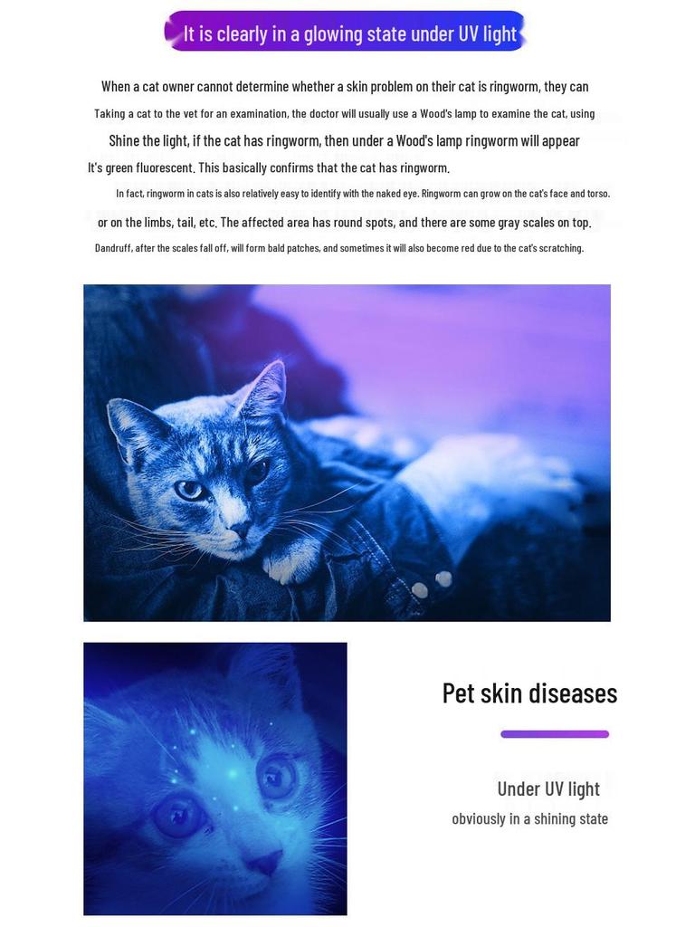 365UV Blacklight Cat Ringworm & Urine Detector - Ultraviolet Wood's Lamp for Fluorescent Detection