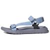 Сандалии Terrex Hydroterra Light 'Фиолетово-синие' ID4275