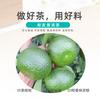 2025 Ganpu Tea First Harvest Meijiang Dongjia Tianma Mandarin Peel Pu'er Wholesale