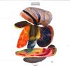 Виниловая пластинка CONTOURS - Elevations MFM068 MUSIC FROM MEMO 2024 EU Танцевальная и электронная музыка