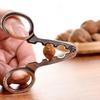 Non-Slip Dry Fruit Pliers Mini Nut Sheller Tool Multifunctional Pine Nuts Opener  Lazy Use