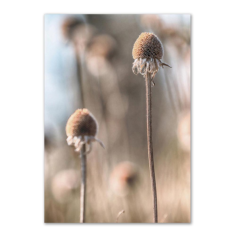 Reed Landscape Dandelion Elk Canvas Poster Nordic Style Wall Art Print Canvas Painting for Living Room Bedroom Pictures Decor