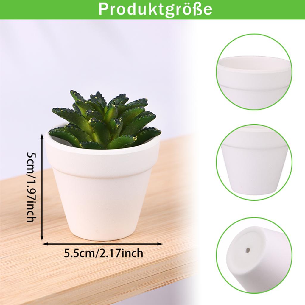 20 шт. 5,5 см WeißEr Tontopf FüR Pflanze Терракотовый Pflanztopf Mit Drainageloch Topf WeißE Terrakotta-TöPfe SukkulententöPfe Klei