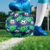 Borussia Monchengladbach Print Size 5 Soccer Ball, PU Wear Resistant Football for Match Training and Daily Practice, Birthday Gift for Soccer Fans