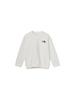 Толстовка North Sweatshirt T Motion Crew Белый Песочный 110 [The Face]